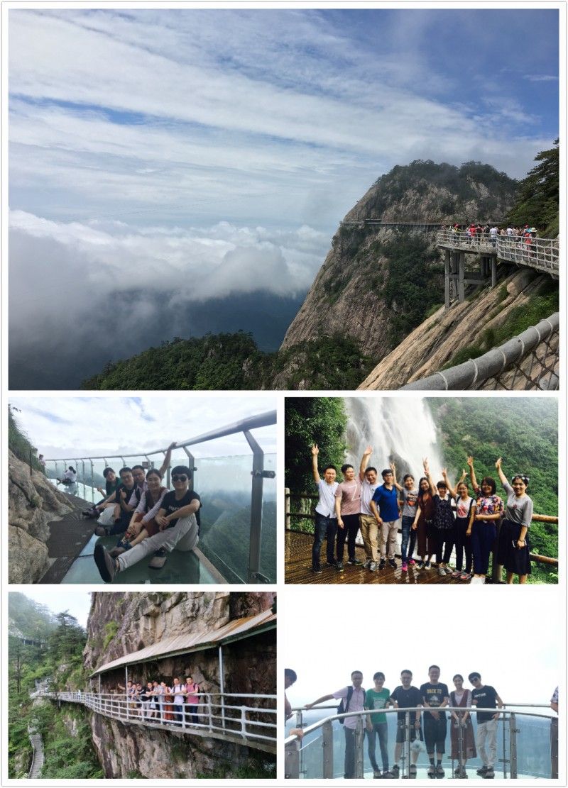 明年的明年我们继续一路同行