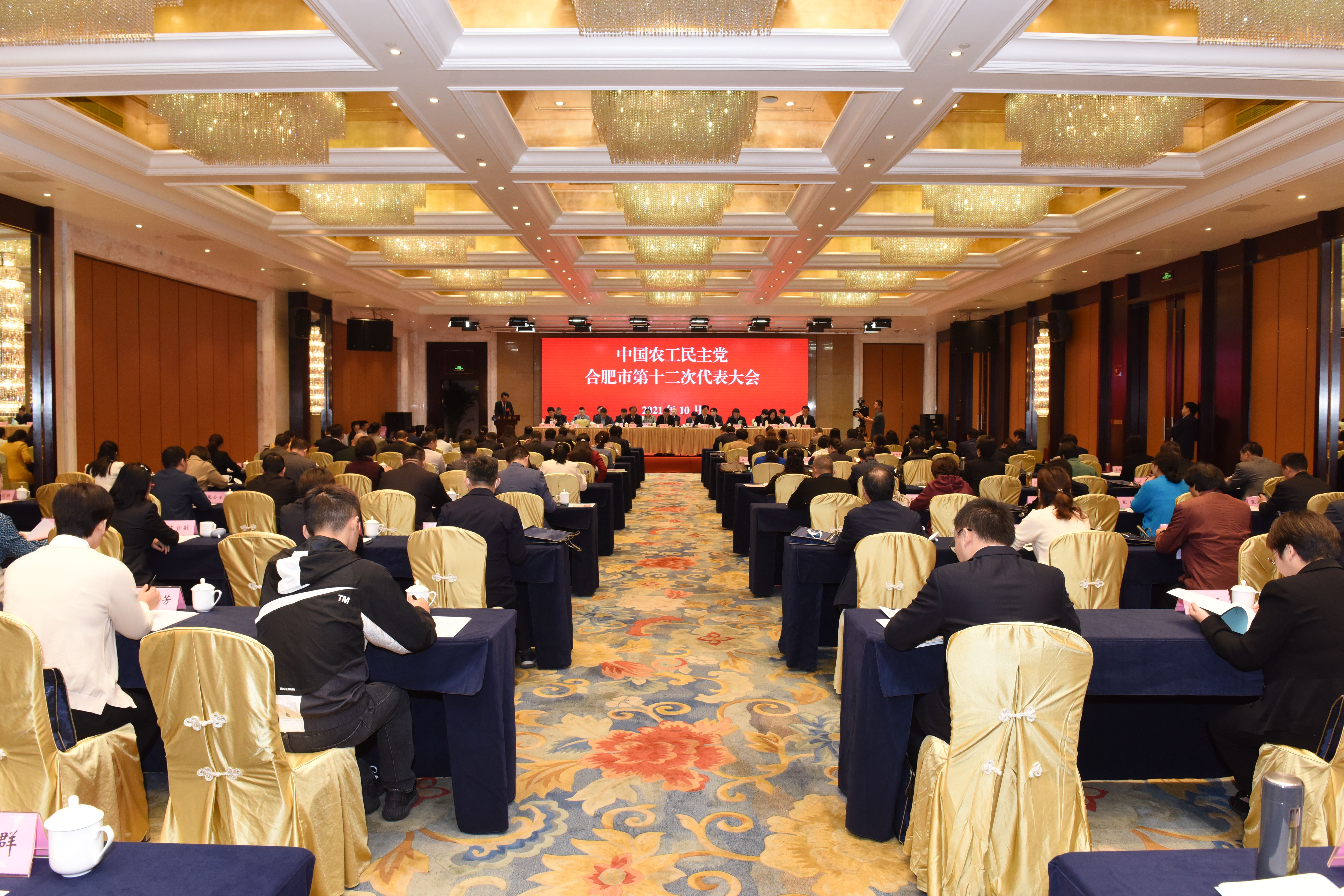 王亚林再次连任农工党合肥市委副主委