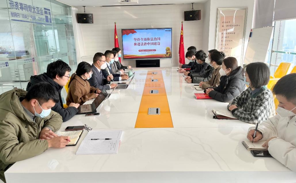 安徽金亚太律师事务所党总支召开2022年度组织生活会